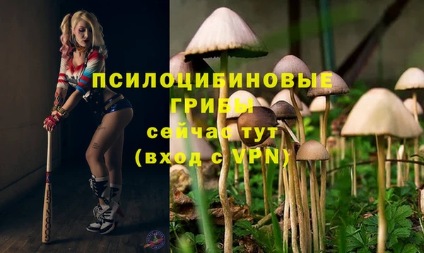 а пвп мука Новодвинск