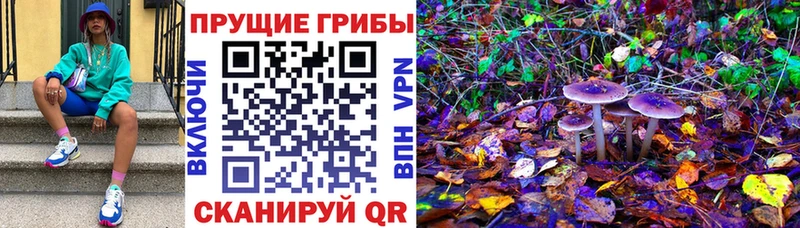 Галлюциногенные грибы ЛСД  Купить закладки  Торопец 